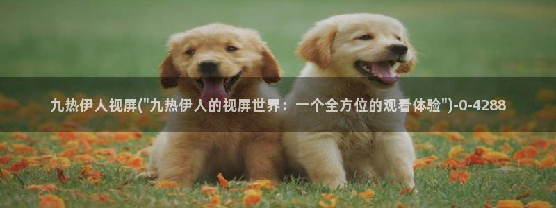 伊人久久影院播放