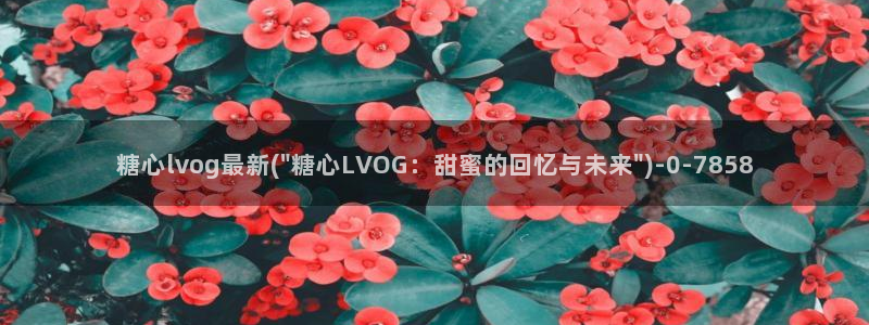 糖vlog日常