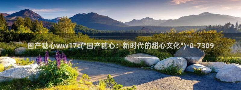 糖心vlog9.1