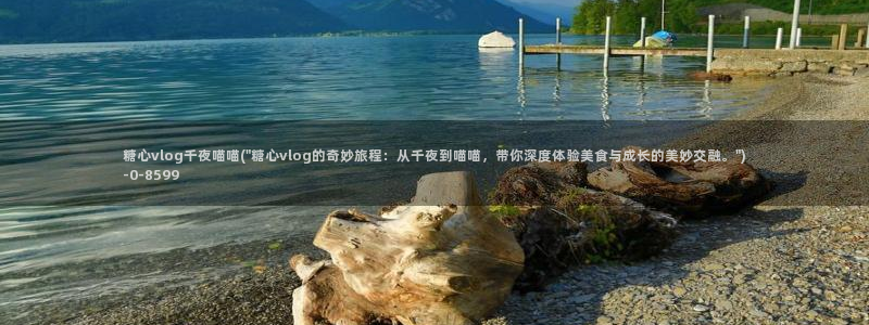 心糖的vlog