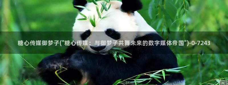 糖心vlog下载方法