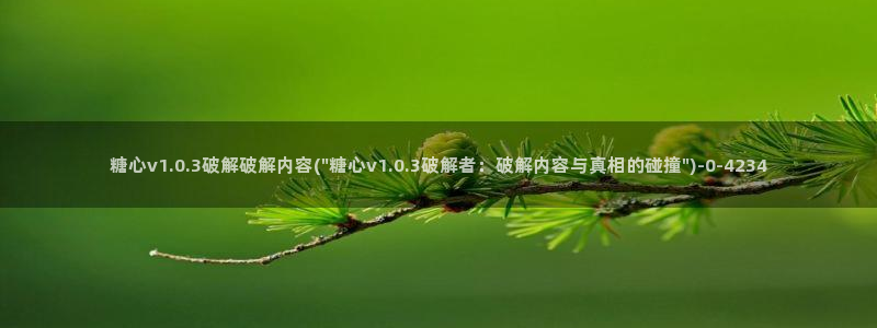 www.糖心vlog.com