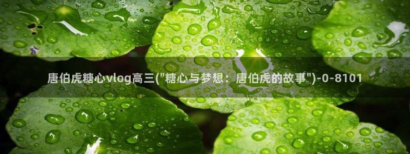 糖心vlog下载链接