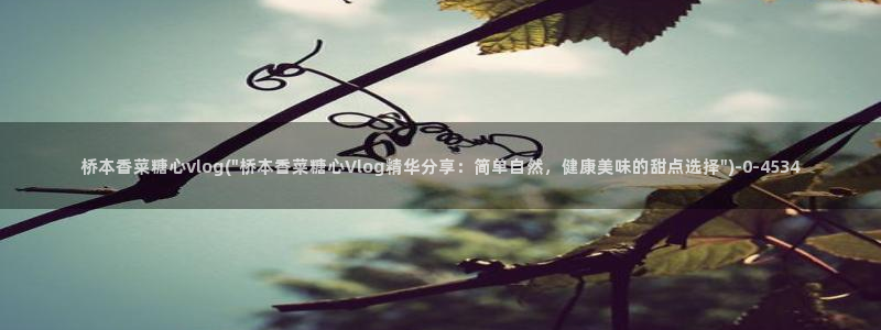 心糖vlog免费下载