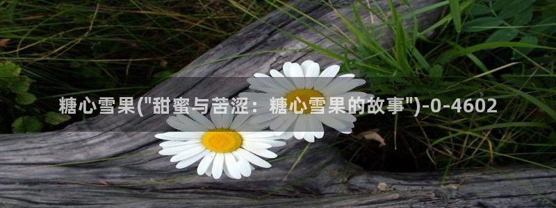 糖心vlog51：糖心雪果(\