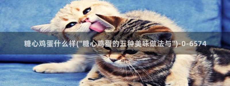 心糖vlog在线观看