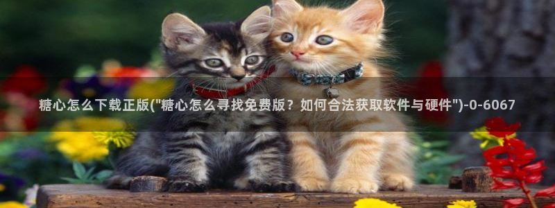 糖心vlog官网在线下载