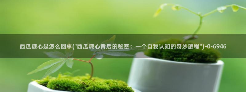 糖心vlog进入