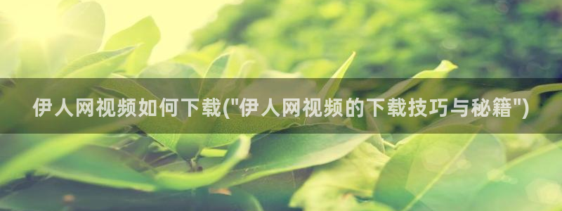 伊人自拍视屏：伊人网视频如何下载(\