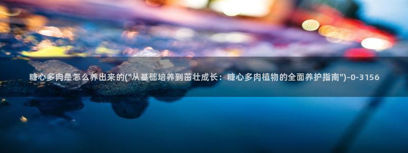 糖心vlog苹果